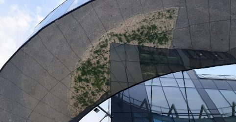 City Campus OU