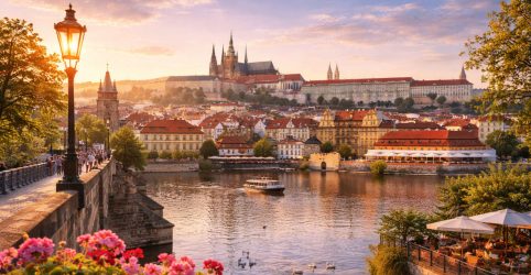 chto-delat-posle-okonchaniya-uchyoby-v-chehii-vnzh-rabota-i-dalnejshie-shagi-dlya-ukrainczev